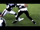 PROOF Lee Evans Made Catch vs. Patriots AFC Championship