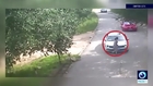 Watch the moment a tiger hunts a tourist at Beijing wildlife park