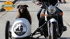 Sit Stay Ride: The Story of America's Sidecar Dogs - Trailer