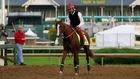 California Chrome The Favorite For Kentucky Derby  - ESPN