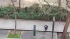 Charlie Hebdo: Terrorists executing police officer in Paris, caught on camera [NSFL]