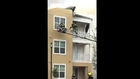 Cat Jumps Out Third-Floor Window of Burning Building, Somehow Survives because its a Cat
