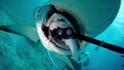 GoPro Underwater Shark Experiment, Full