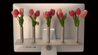 Float Shelf by Prism Designs