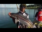 Fishing Hunter Thailand ● CHADO BIG Sized ●  2014/2015 [HD]