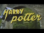 Harry Potter: The 90s Sitcom