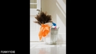 Aly Cleaning Service - (571) 499-1180
