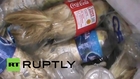 Indonesia: Smuggler caught with over 24 endangered birds stuffed into plastic bottle