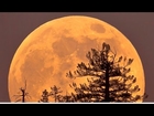 How to take the best photos of Monday’s supermoon