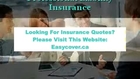 Liability Insurance Quote: How Important Is It?