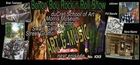 Bongo Boy Rock n' Roll Show - Art & Music  -  Host by Wayne Olivieri - Egon & Pepso music video 