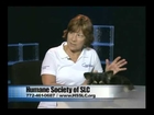 Humane Society of St. Lucie County Adopt-a-Pet: Skipper