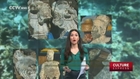 (VIDEO) Strange Statues Discovered In South China Sea