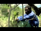 Black Mamba Snakes   Africas Most Dangerous Snake Full Nature Wildlife Documentary