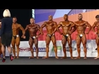 Comparisons - Prejudging - Under 80kg - Arnold Amateur Europe 2014