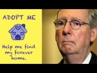 Find Mitch McConnell a Home