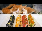 A Japanese Take on American Sushi