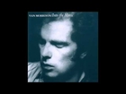 Van Morrison - It's All In The Game/You Know What They're Writing About (Lyrics)