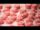 Looka Patisserie Macarons at Wal-Mart: Small Maker's Story