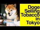 Doge selling tobacco in Tokyo // Shiba Inu