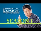 Everybody Loves Raymond   Season 1 Episode 19   The Dog