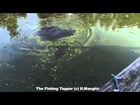 Fishing Tapper Video