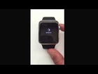 World First Apple Watch Boot/Startup !