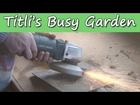 Titli's Busy Garden 2014 Week 4 - Spade Cleaning