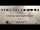 STOP THE BURNING - 30 global leaders send a collective message to end deforestation