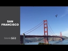 Bionic Bird - San Francisco 2016