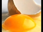 Vital: Role of eggs in pregnancy nutrition