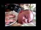 Rire   Funny Cats Protecting Babies Compilation 2014 NEW HD