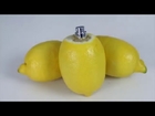 How to make a Lemon and Lime Citrus Sprayers