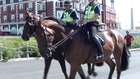 You can now call a police horse ‘gay’, UK rules