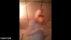 Chicken song video