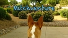 Mitchventure!!