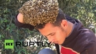 State of Palestine: Daredevil beekeeper covers bare hand in BEES