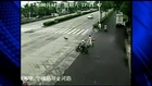 Dog Causes Fatal Head on Collision in China