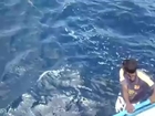 Another rescue at sea