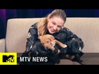 ‘Supergirl’ Star Melissa Benoist Takes Our Super Puppy Challenge | MTV News