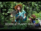 Edible plant haul