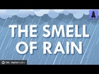 Where Does the Smell of Rain Come From?