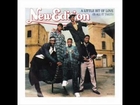 New Edition - A Little Bit Of Love (Is All It Takes) (1986)(HD AUDIO)