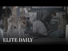 Meet The Mother-Daughter Duo Providing Care For Homeless People's Pets [Insights] | Elite Daily