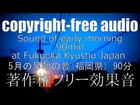 [Working BGM / Free Download]  Sound of early morning(May)