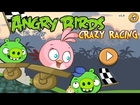 Angry Birds Crazy Racing - Play Free Games Online 12 HD