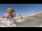 Rescued tigers swim for the first time