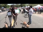 Help Willy's Friends Parade of Stars Pet Fair 2014