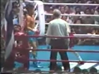 classic fight thai boxing : Samart Payakaroon