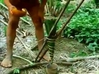 INSIDE THE JUNGLE - Discovery/Animals/Nature (documentary)